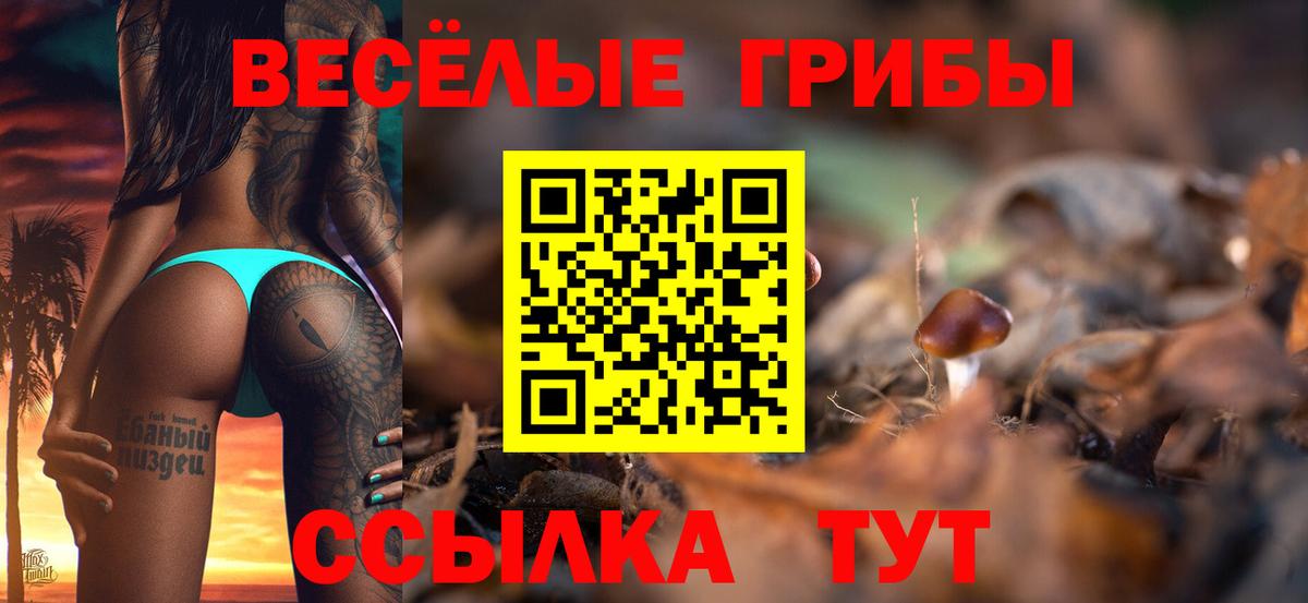 Псилоцибиновые грибы Psilocybine cubensis Октябрьский