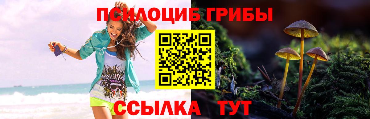 Псилоцибиновые грибы мухоморы  Вход с VPN  Октябрьский 